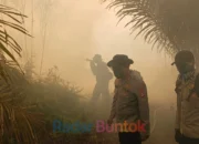 Kapolres Barsel Turun Langsung Padamkan Karhutla di Desa Pamangka
