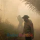 Kapolres Barsel Turun Langsung Padamkan Karhutla di Desa Pamangka